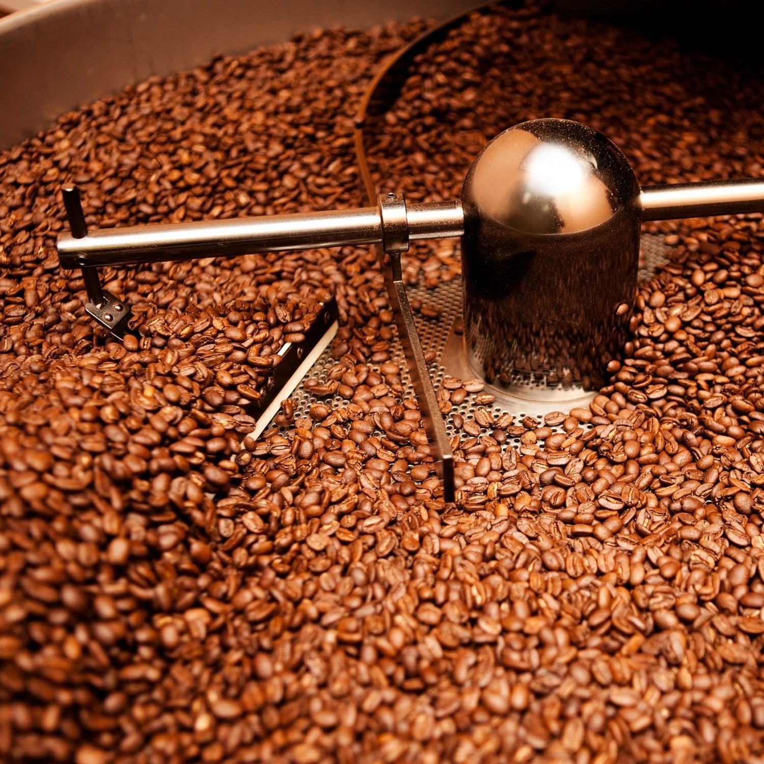 Modern machine sorting roasted cofee