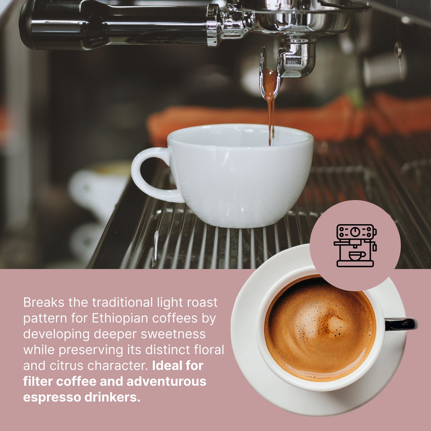 Paradigm Blend - Foresight Coffee