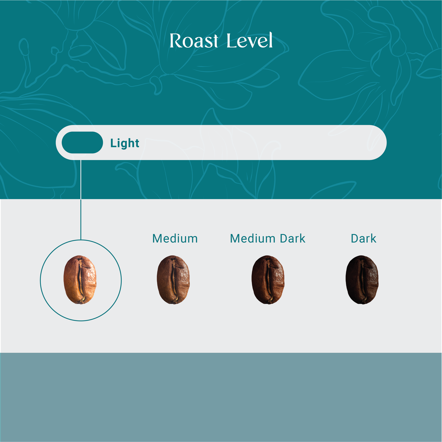 Costa Rica La Amistad - Organic
