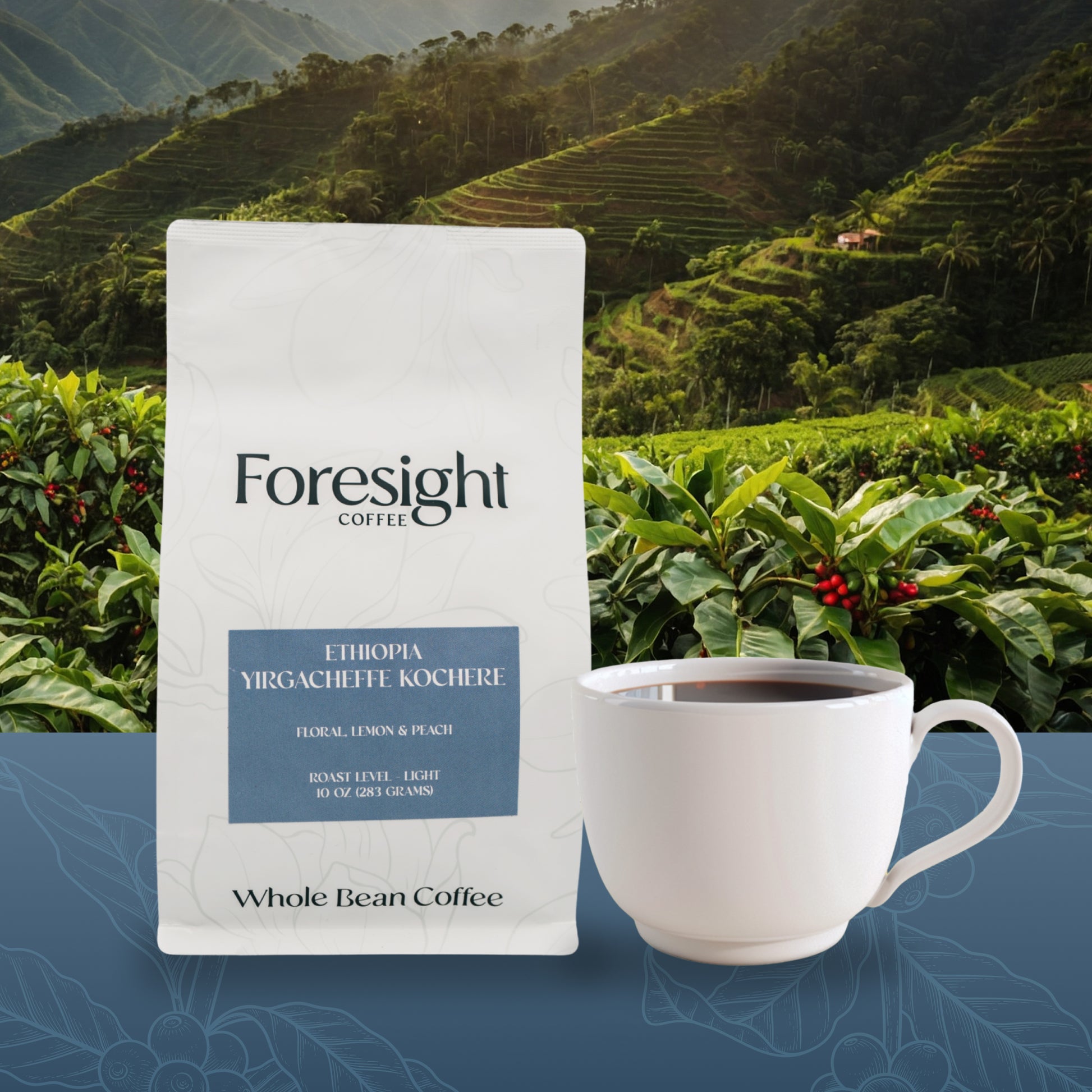 Ethiopia Yirgacheffe Kochere - Foresight Coffee