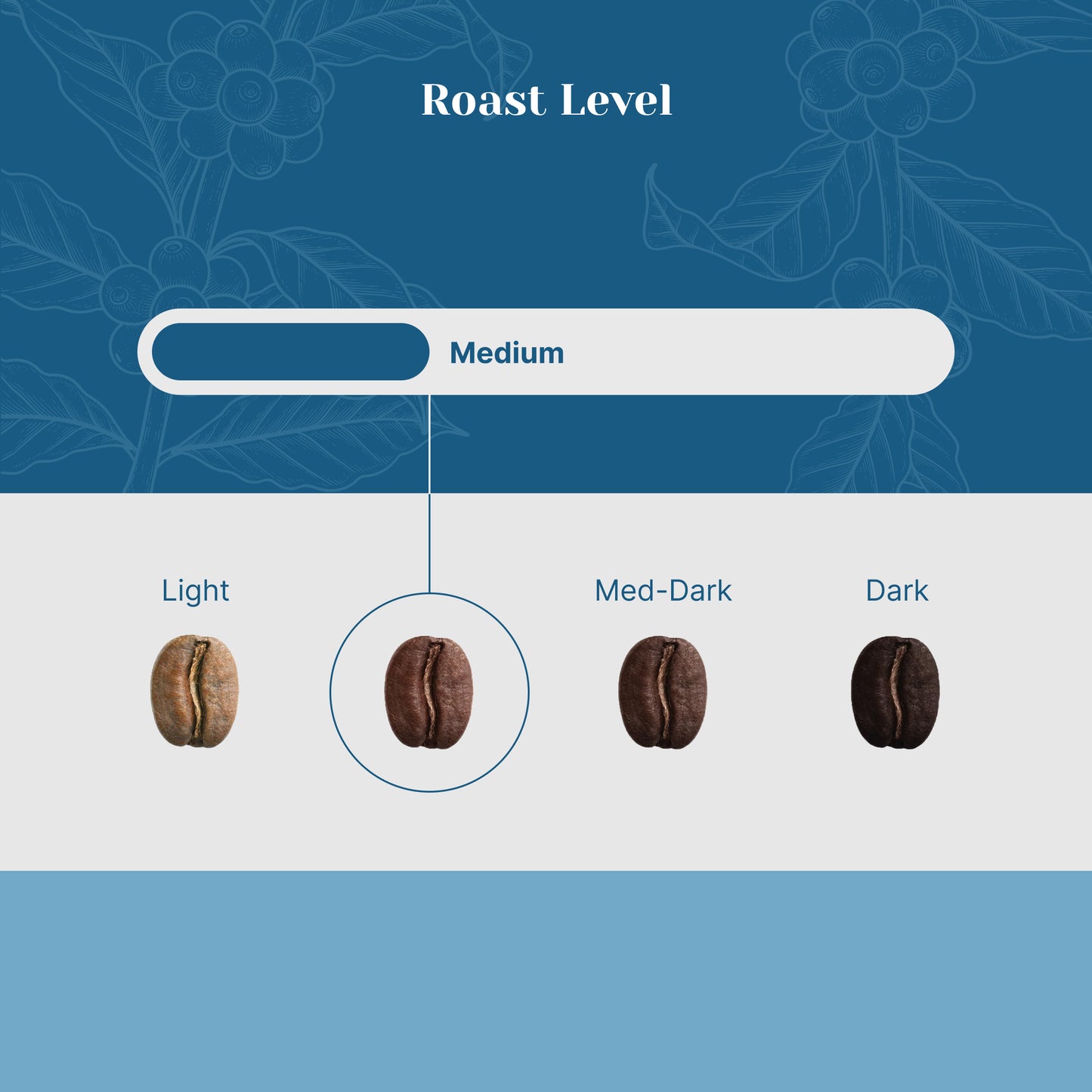 Nightcap Decaf - Foresight Coffee
