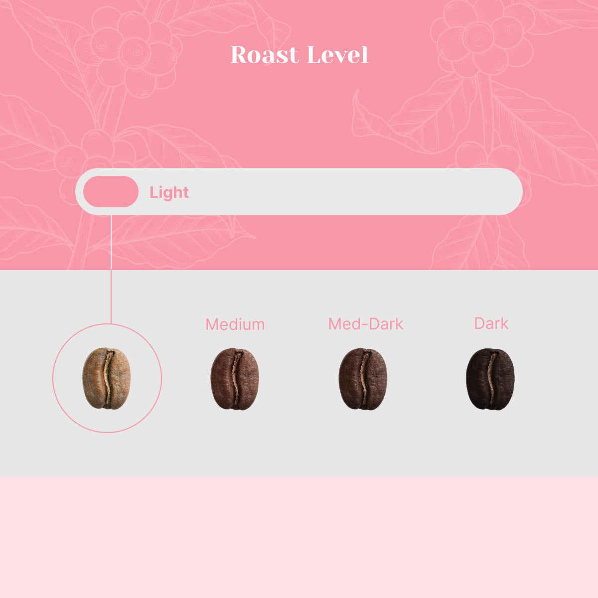 Peru Las Damas - Organic