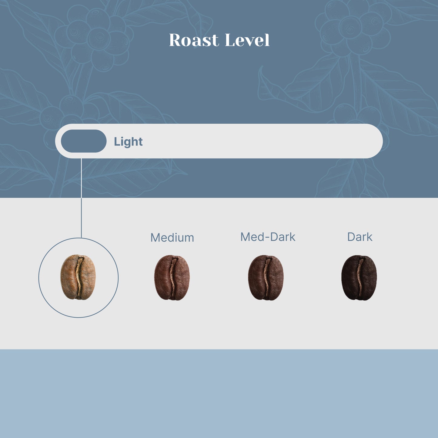 Ethiopia Yirgacheffe Kochere - Foresight Coffee