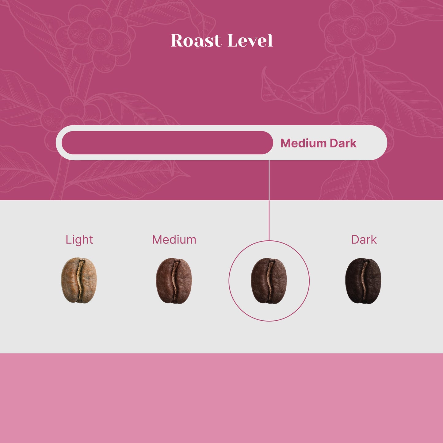 Proximity Blend - Foresight Coffee