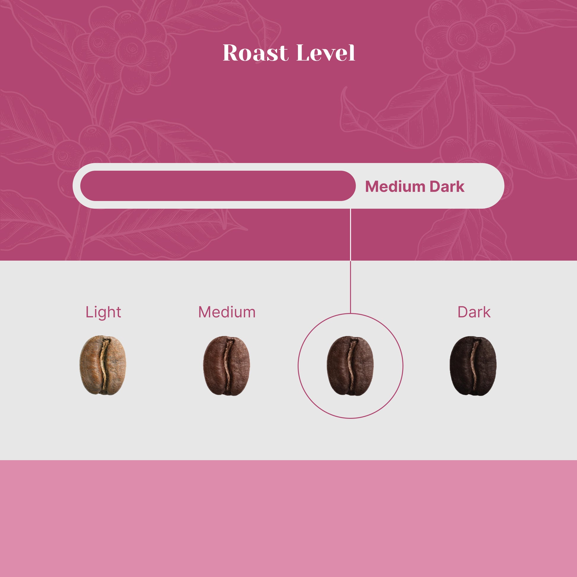 Proximity Blend - Foresight Coffee