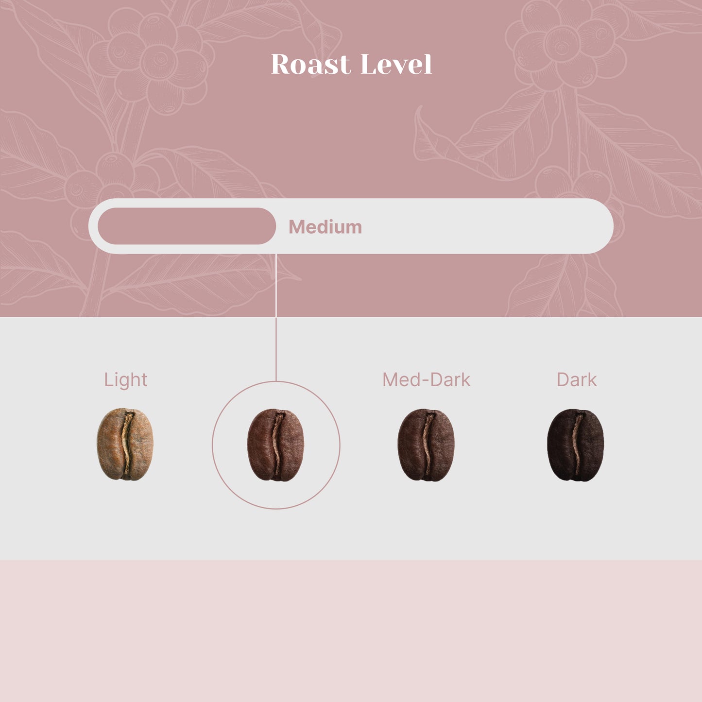 Paradigm Blend - Foresight Coffee