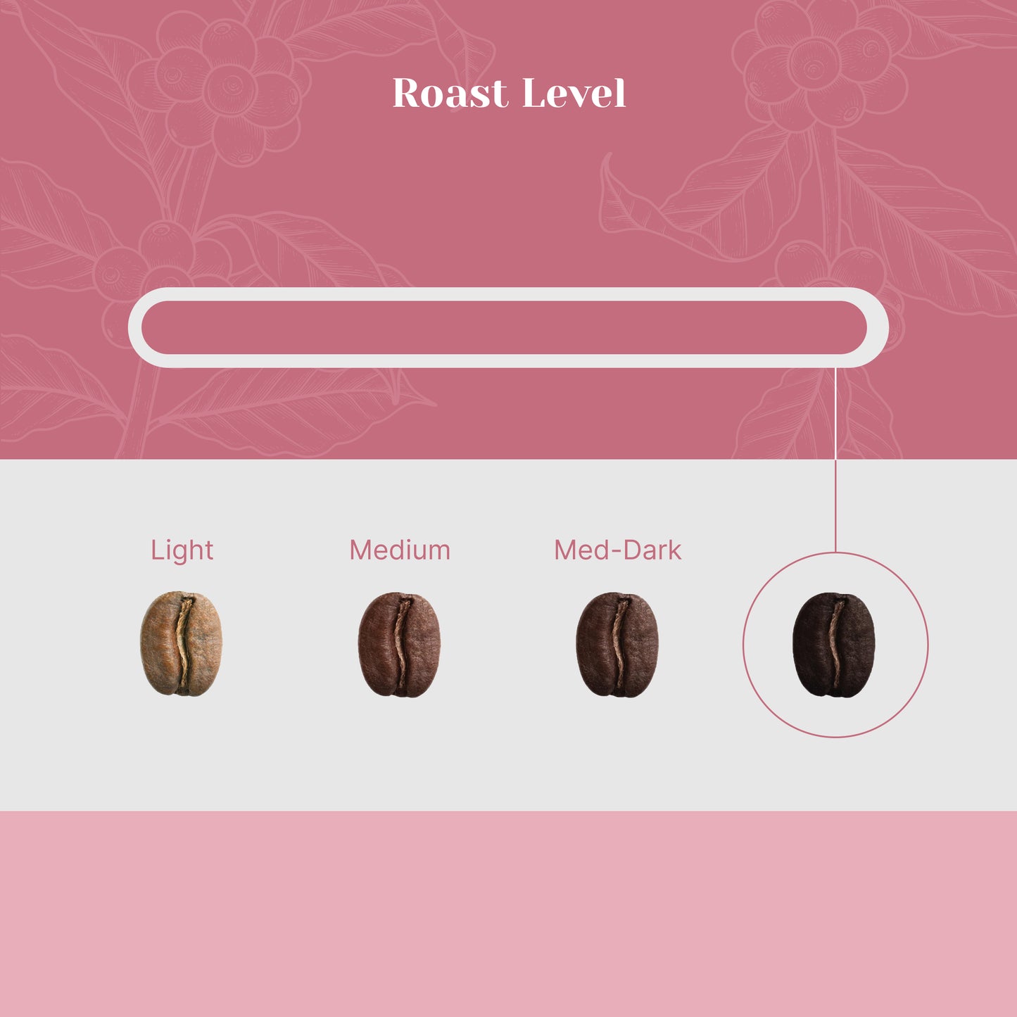 Brazilliant Blend - Foresight Coffee