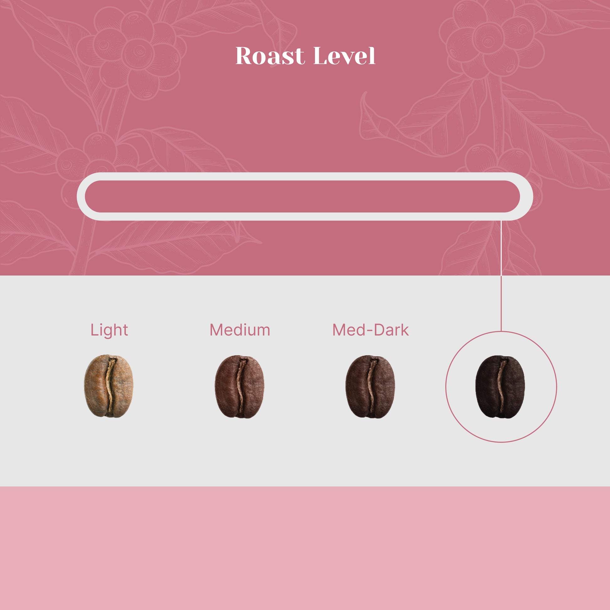 Brazilliant Blend - Foresight Coffee