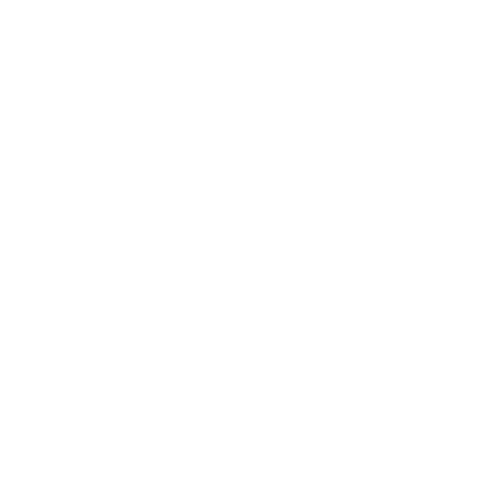 Coffee bag icon