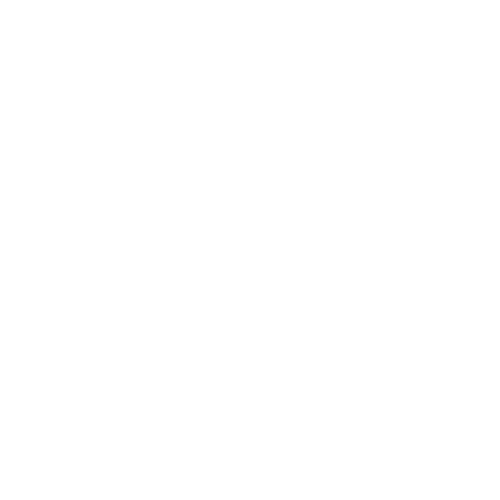 coffee beans on fire icon