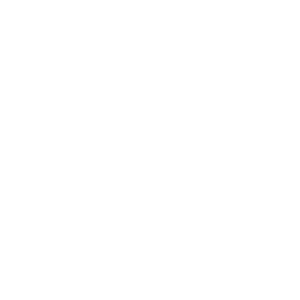coffee beans on fire icon