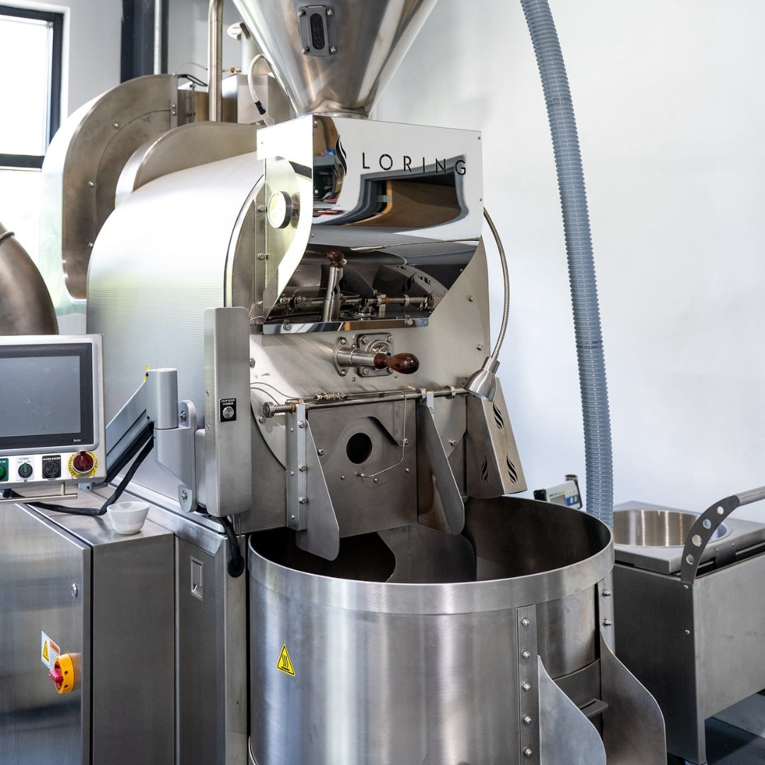 Loring S35 Kestrel