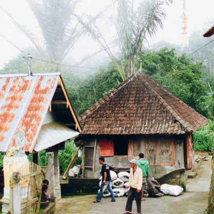 Bali Kintamani - Natural Process