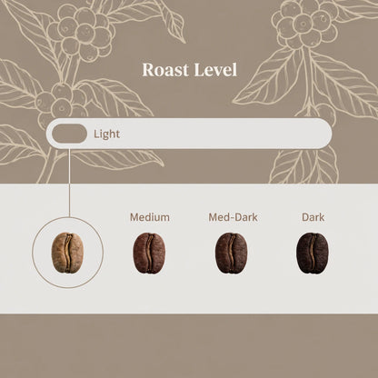 Guatemala Las Volcanes - Organic | Change all of the pink in image 4 to match the taupe background color used in image 1.