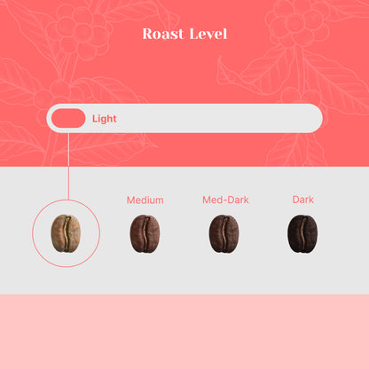 Rwanda Mwito - Lot 517